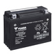 Yuasa Batteri YTX24HL-BS  (CP) Inkl syra